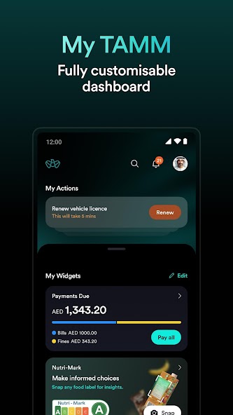 TAMM digital government dashboard